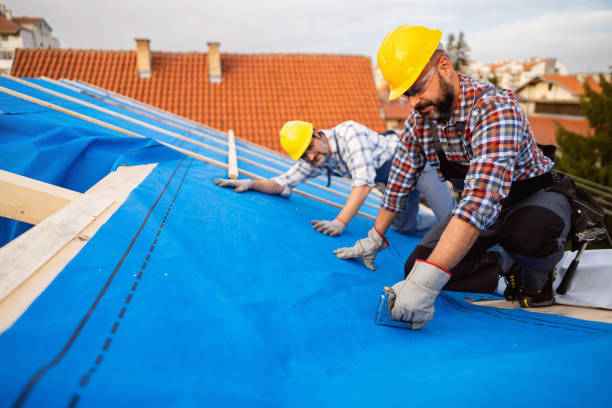 Best Roof Gutter Cleaning  in Granite Falls, NC